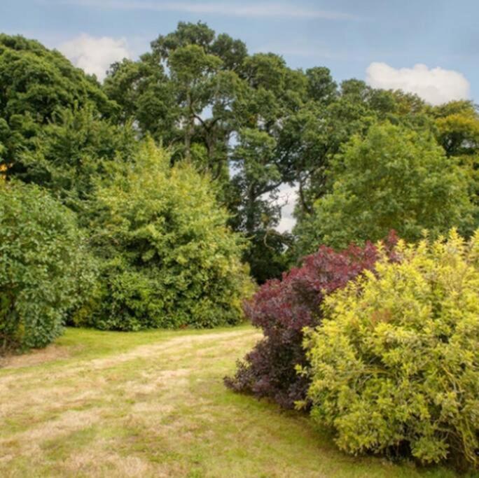 Appartement Killenard Kottage, Killenard, Laois Extérieur photo